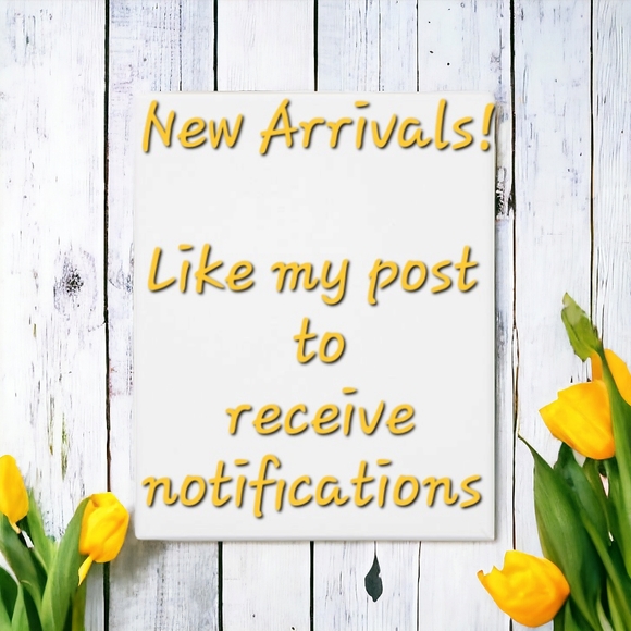 New Arrivals - Picture 3 of 7